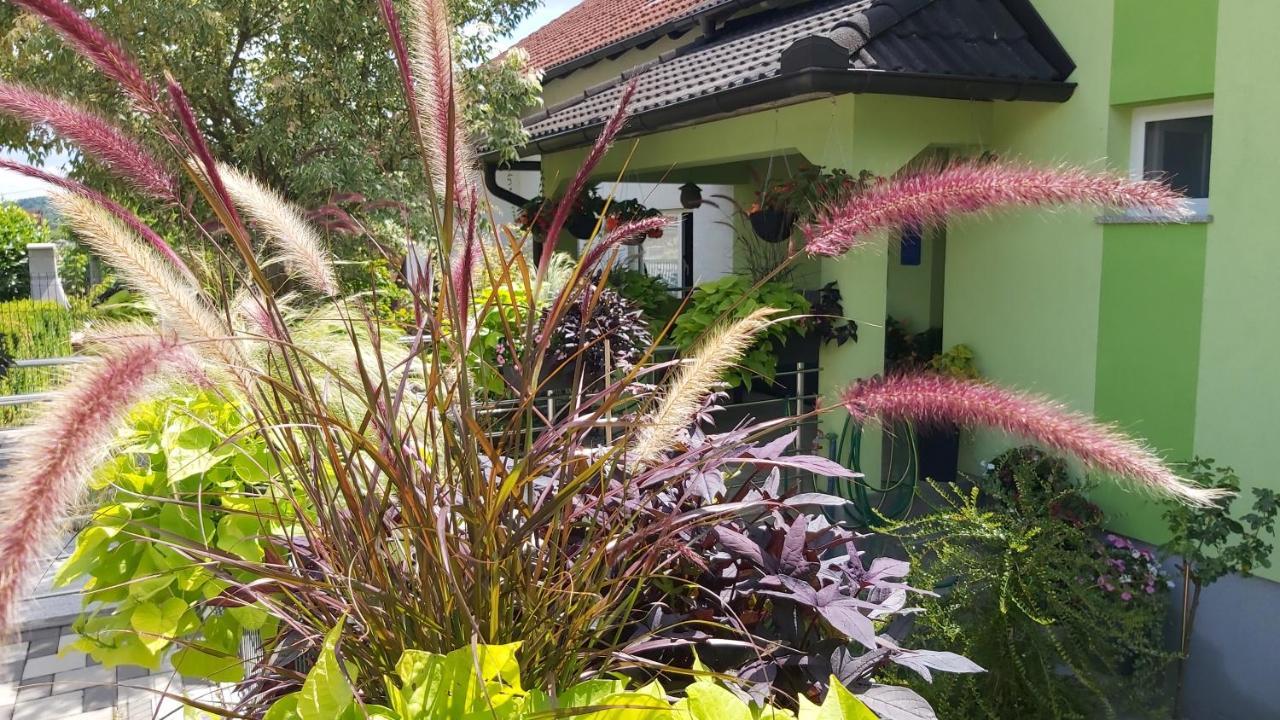 Studio Apartman Grizzly Slunj Exterior photo